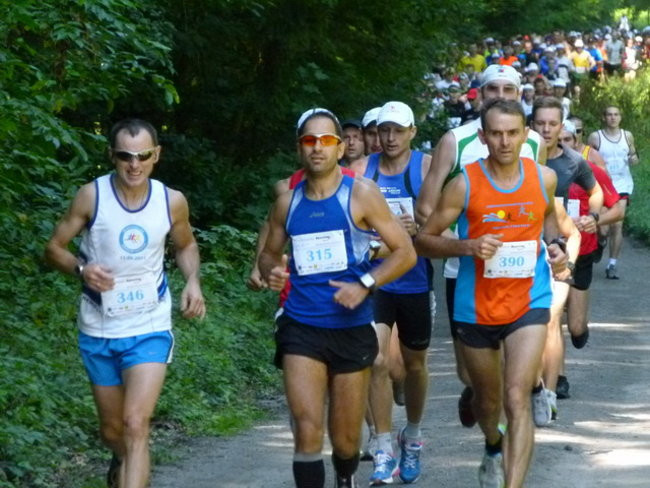 Koleżeńsko w cieniu bukowego lasu (zdjęcia)