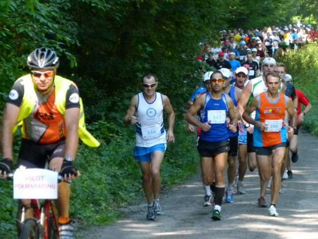 Koleżeńsko w cieniu bukowego lasu (zdjęcia)
