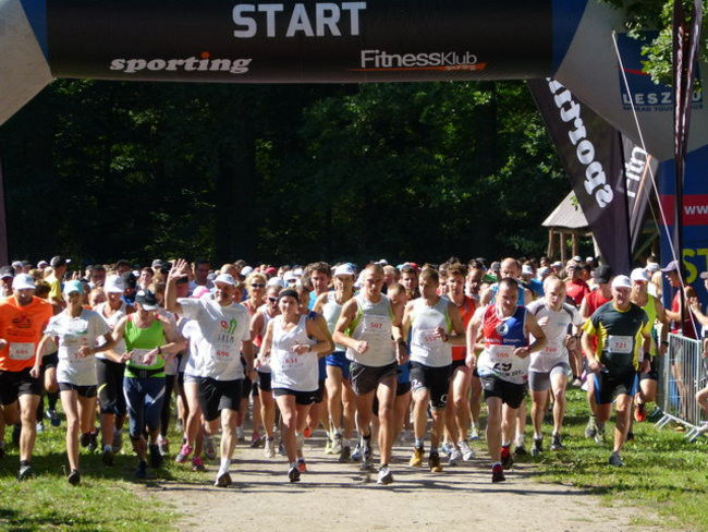 Koleżeńsko w cieniu bukowego lasu (zdjęcia)