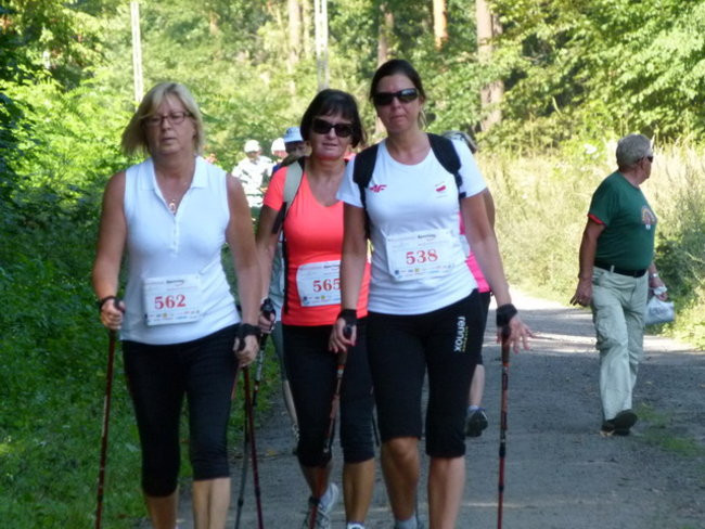 Koleżeńsko w cieniu bukowego lasu (zdjęcia)