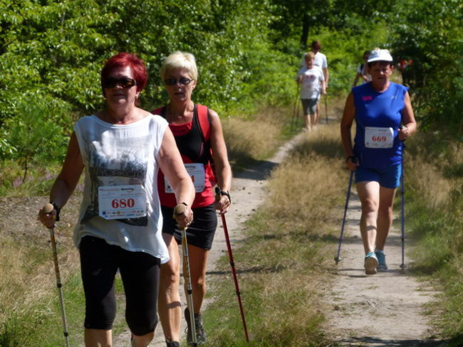 Koleżeńsko w cieniu bukowego lasu (zdjęcia)