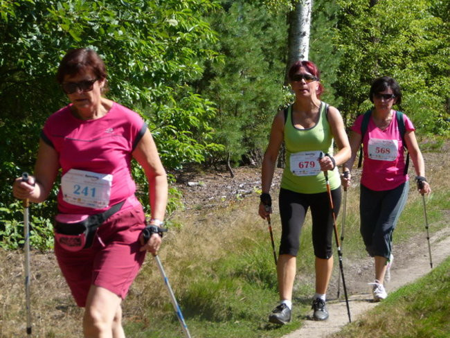 Koleżeńsko w cieniu bukowego lasu (zdjęcia)