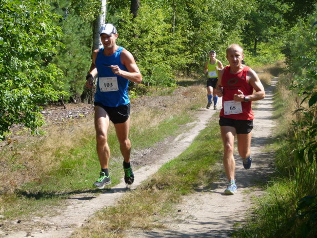 Koleżeńsko w cieniu bukowego lasu (zdjęcia)