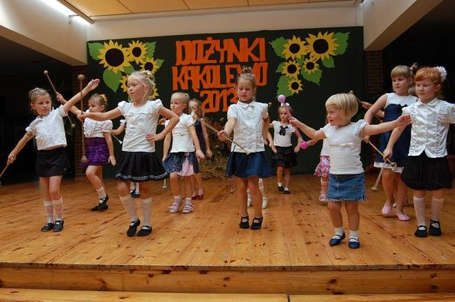 Udane dożynki w Kąkolewie (zdjęcia)