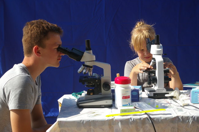 Trwa słoneczny Boszkowo Fest (zdjęcia)