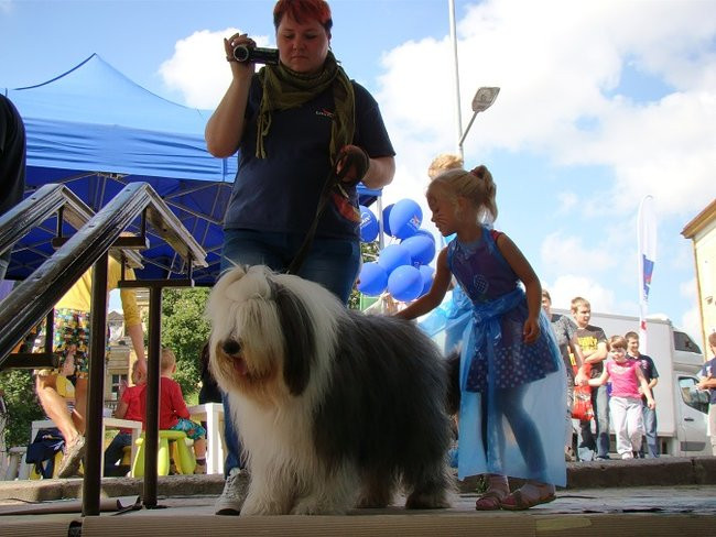 Tunel prawie pomalowany (zdjęcia)