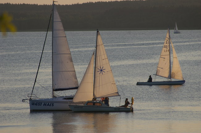 Kończy się festiwal miłośników Boszkowa (zdjęcia)