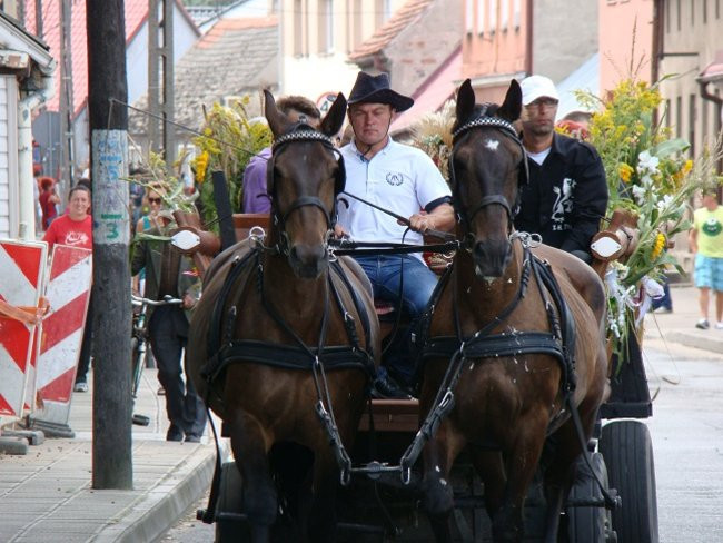 Przed rolnikami czapki z głów (zdjęcia)
