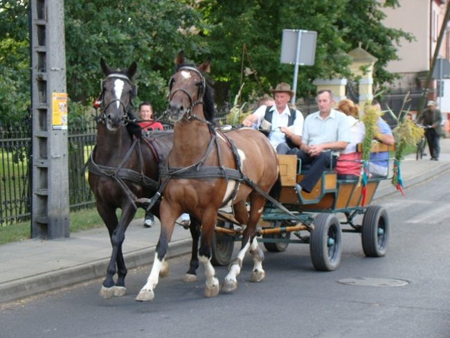 Przed rolnikami czapki z głów (zdjęcia)
