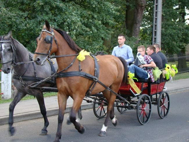 Przed rolnikami czapki z głów (zdjęcia)