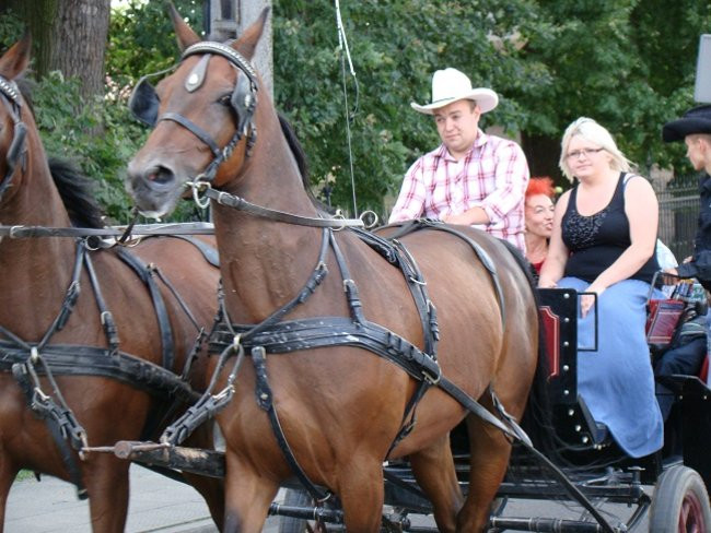 Przed rolnikami czapki z głów (zdjęcia)
