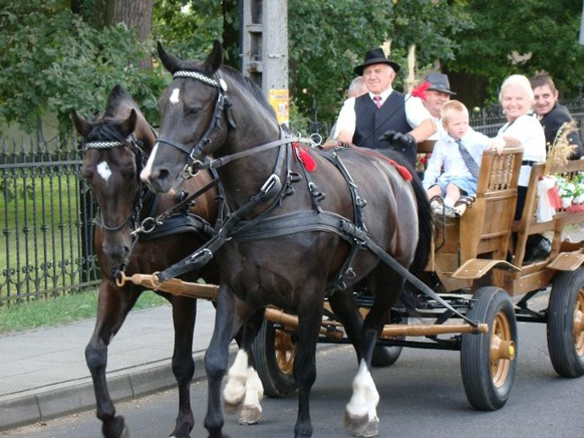 Przed rolnikami czapki z głów (zdjęcia)