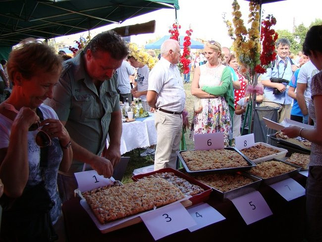 Czy to był ostatni piknik? (zdjęcia)