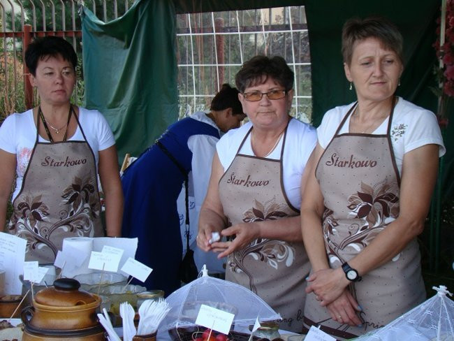 Czy to był ostatni piknik? (zdjęcia)
