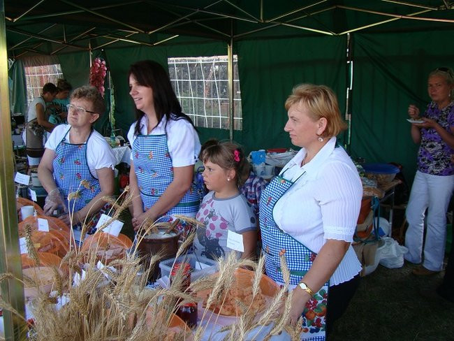 Czy to był ostatni piknik? (zdjęcia)