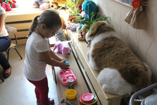 Dzieci chcą się poznać (zdjęcia)