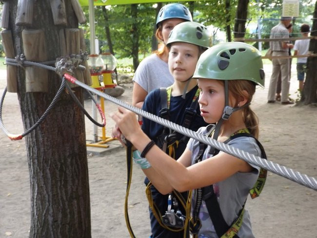 Rywalizacja w koronach drzew (zdjęcia)
