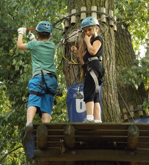 Rywalizacja w koronach drzew (zdjęcia)