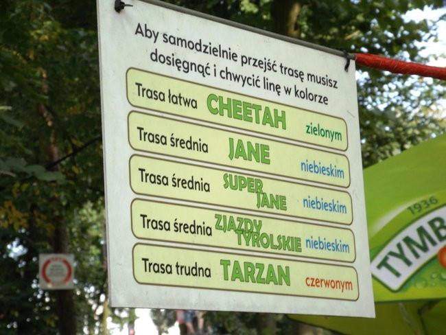 Rywalizacja w koronach drzew (zdjęcia)