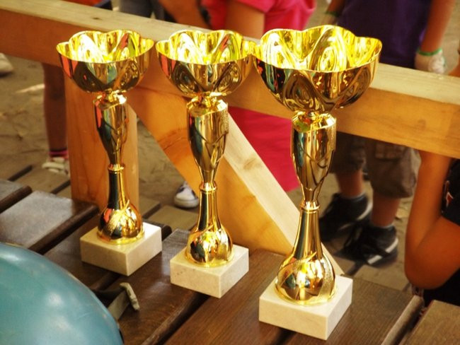 Rywalizacja w koronach drzew (zdjęcia)