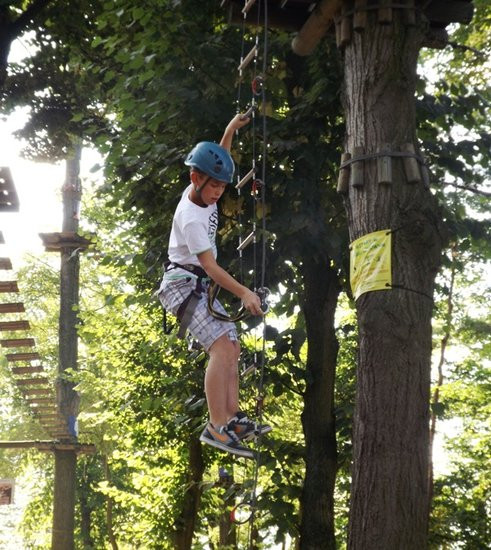 Rywalizacja w koronach drzew (zdjęcia)