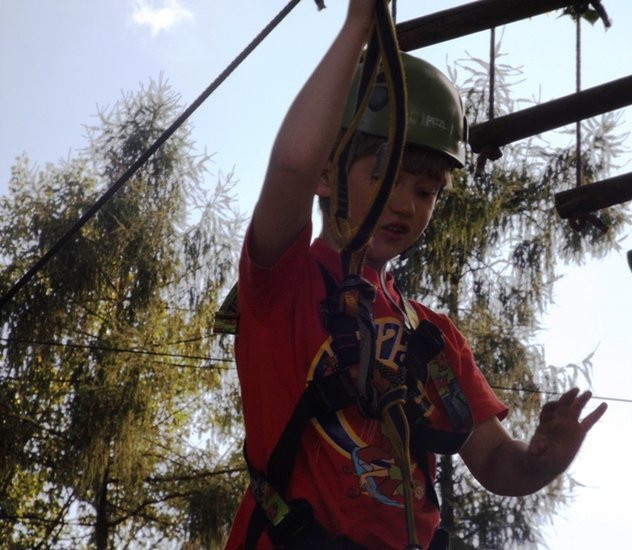 Rywalizacja w koronach drzew (zdjęcia)