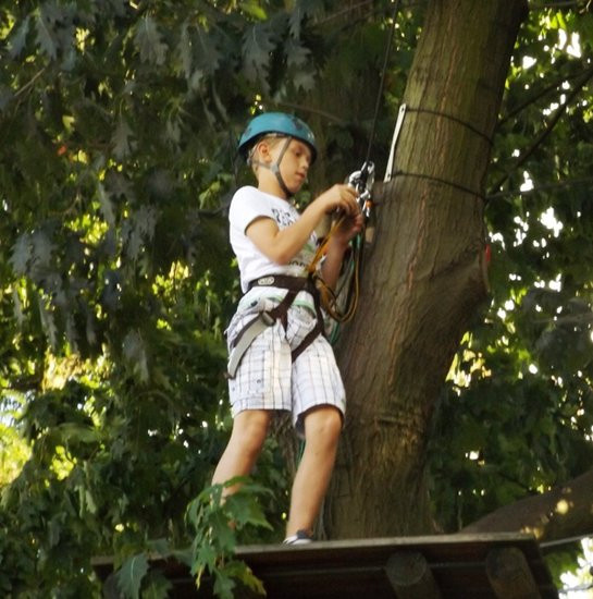 Rywalizacja w koronach drzew (zdjęcia)