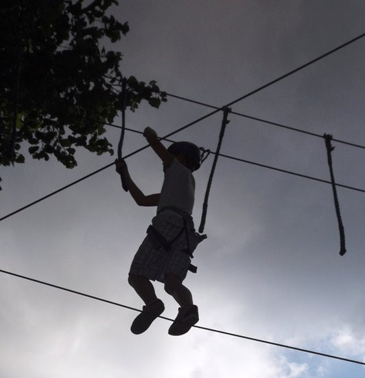 Rywalizacja w koronach drzew (zdjęcia)