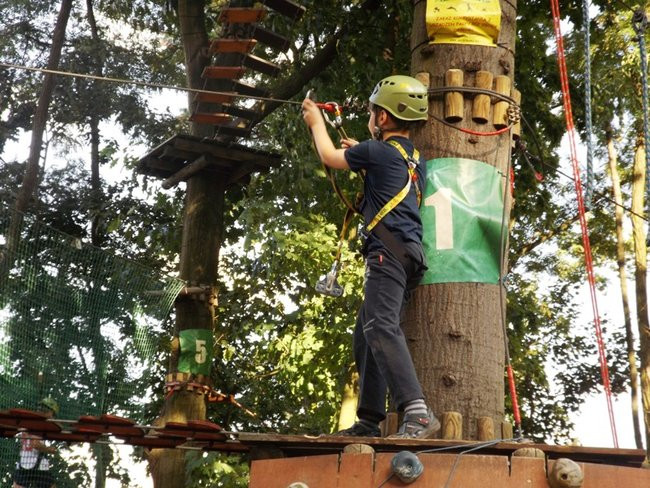 Rywalizacja w koronach drzew (zdjęcia)