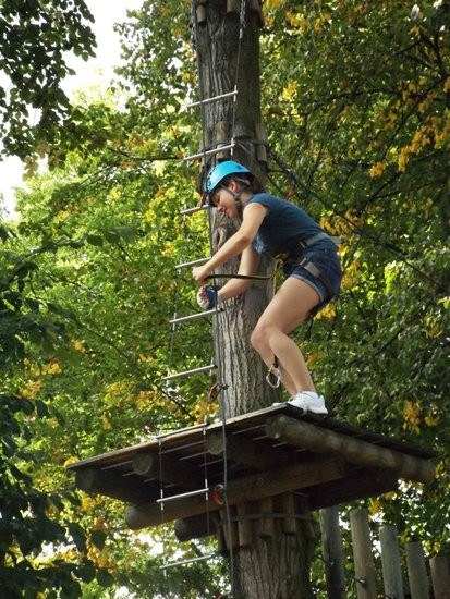 Rywalizacja w koronach drzew (zdjęcia)