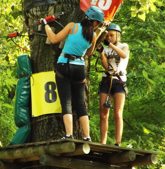 Rywalizacja w koronach drzew (zdjęcia)