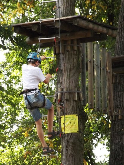 Rywalizacja w koronach drzew (zdjęcia)