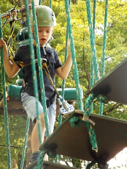 Rywalizacja w koronach drzew (zdjęcia)