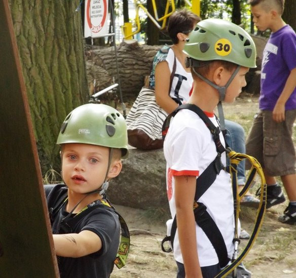 Rywalizacja w koronach drzew (zdjęcia)