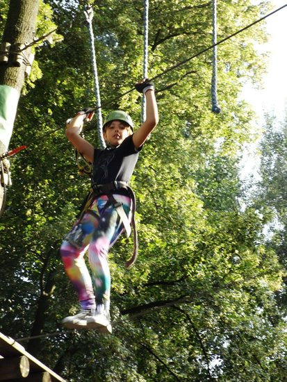 Rywalizacja w koronach drzew (zdjęcia)