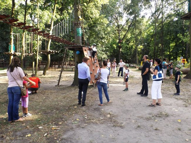 Rywalizacja w koronach drzew (zdjęcia)