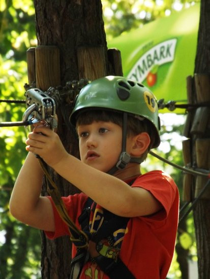 Rywalizacja w koronach drzew (zdjęcia)