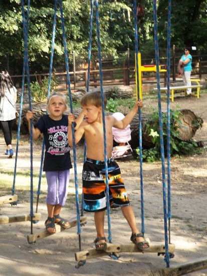 Rywalizacja w koronach drzew (zdjęcia)