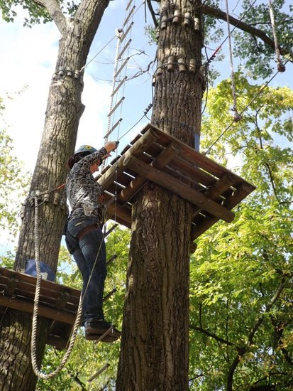 Rywalizacja w koronach drzew (zdjęcia)