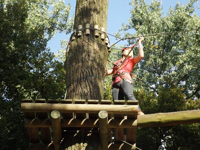 Rywalizacja w koronach drzew (zdjęcia)