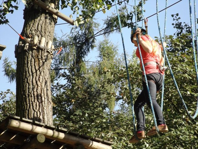 Rywalizacja w koronach drzew (zdjęcia)