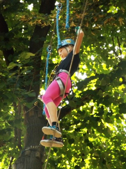 Rywalizacja w koronach drzew (zdjęcia)