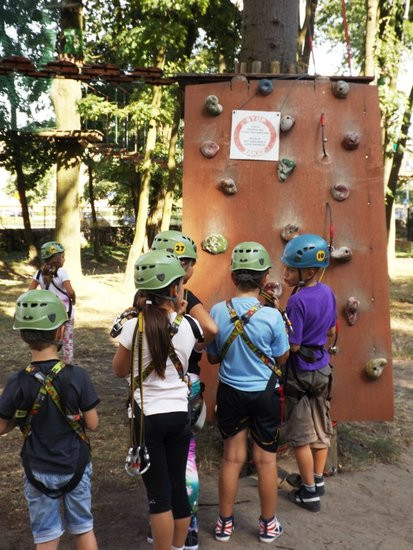 Rywalizacja w koronach drzew (zdjęcia)