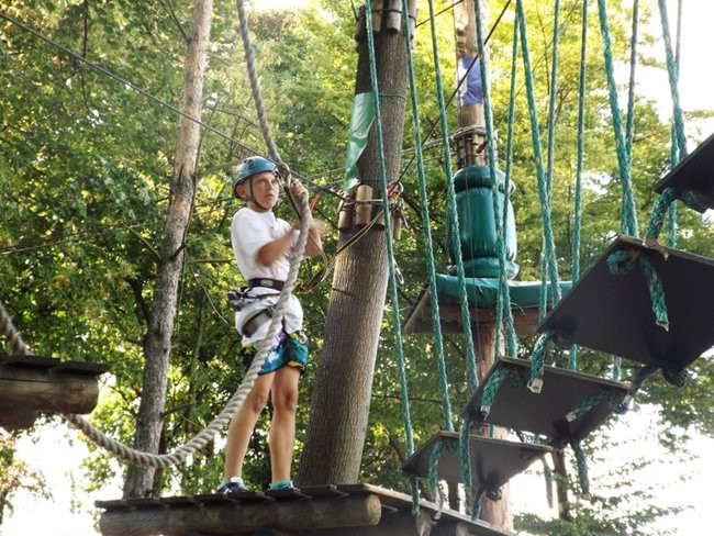 Rywalizacja w koronach drzew (zdjęcia)