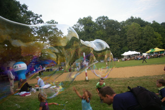 Festiwal Artystycznych Poszukiwań w Górznie (zdjęcia)