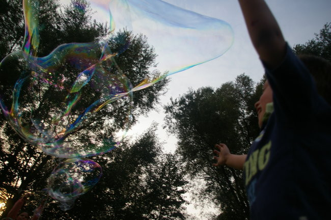 Festiwal Artystycznych Poszukiwań w Górznie (zdjęcia)