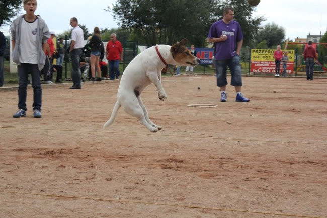 Piknik na bulodromie (zdjęcia)