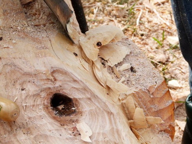 Plener pod wiatrakami (zdjęcia)