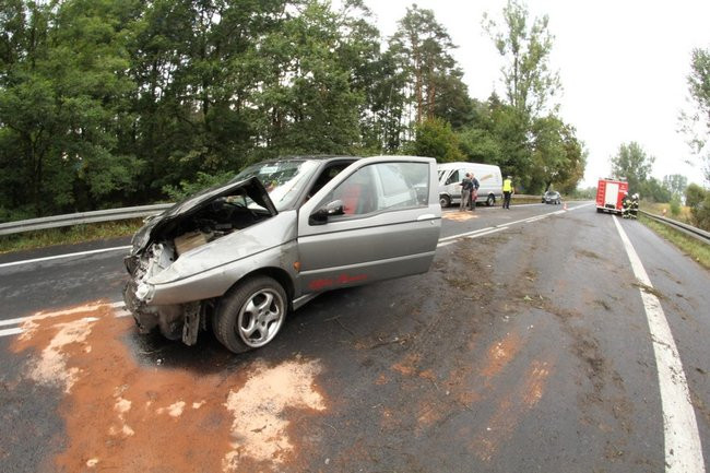 Trzy osoby ranne w wypadku koło Radomicka (zdjęcia, wideo i dźwięk)
