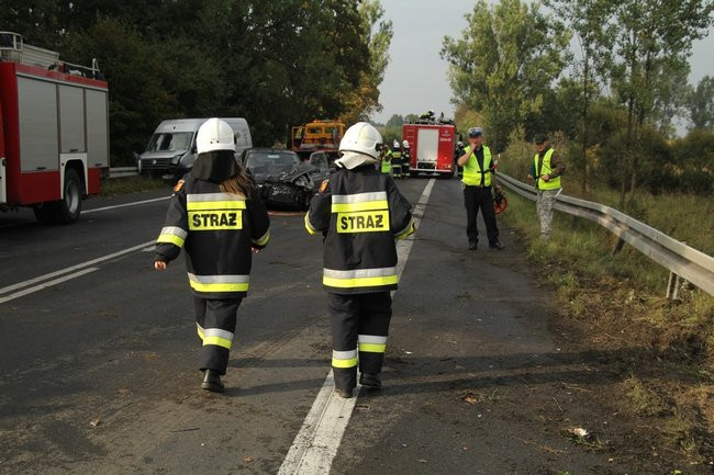 Trzy osoby ranne w wypadku koło Radomicka (zdjęcia, wideo i dźwięk)